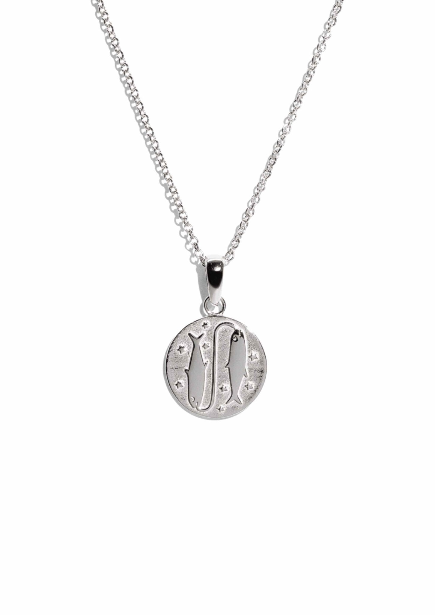 The Pisces Zodiac Silver Necklace - Molten Store